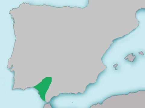 509.8985103.580x360