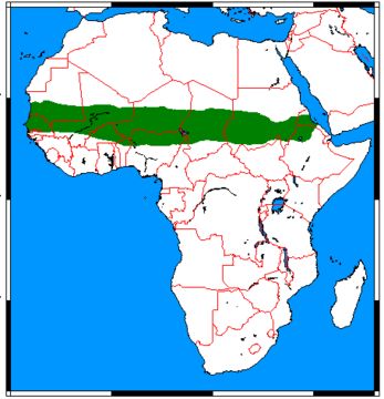 <span class="translation_missing" title="translation missing: en.medium.untitled.map_image_of, page_name: African Sand Fox">Map Image Of</span>