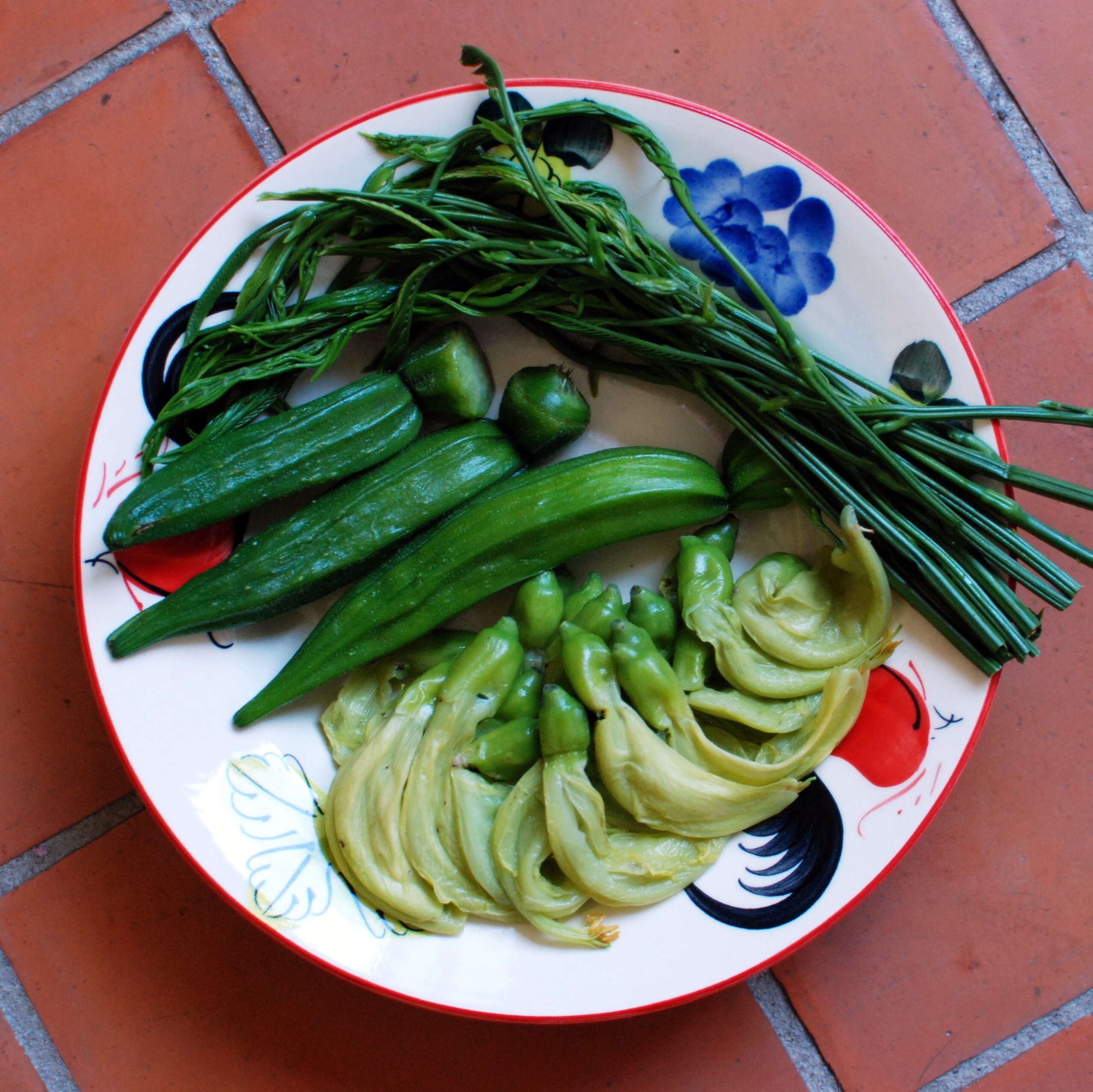 Image of vegetable hummingbird