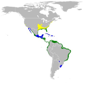 <span class="translation_missing" title="translation missing: en.medium.untitled.map_image_of, page_name: Little blue heron">Map Image Of</span>