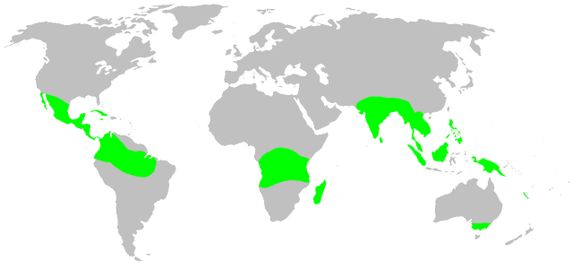 <span class="translation_missing" title="translation missing: en.medium.untitled.map_image_of, page_name: armored spiders">Map Image Of</span>