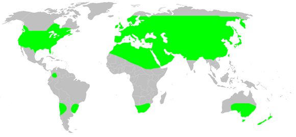<span class="translation_missing" title="translation missing: en.medium.untitled.map_image_of, page_name: dysderid spiders">Map Image Of</span>