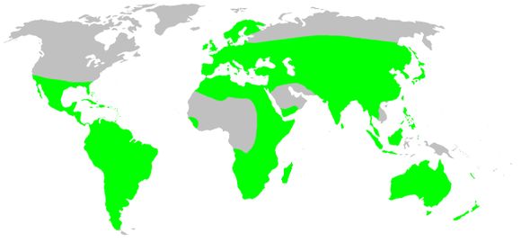 <span class="translation_missing" title="translation missing: en.medium.untitled.map_image_of, page_name: goblin spiders">Map Image Of</span>