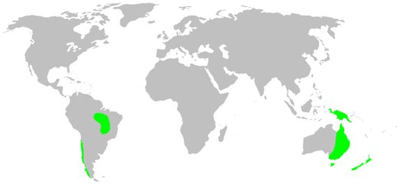 <span class="translation_missing" title="translation missing: en.medium.untitled.map_image_of, page_name: Micropholcommatidae">Map Image Of</span>