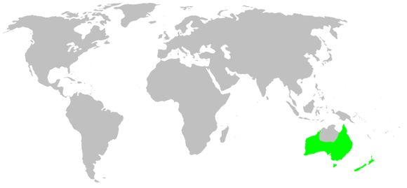 <span class="translation_missing" title="translation missing: en.medium.untitled.map_image_of, page_name: Pararchaeidae">Map Image Of</span>