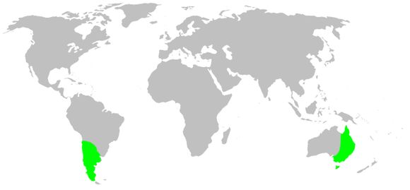 <span class="translation_missing" title="translation missing: en.medium.untitled.map_image_of, page_name: malkarid spiders">Map Image Of</span>