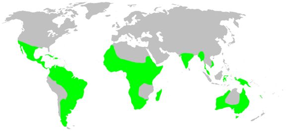 <span class="translation_missing" title="translation missing: en.medium.untitled.map_image_of, page_name: ogrefaced spiders">Map Image Of</span>