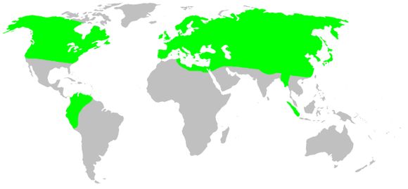 <span class="translation_missing" title="translation missing: en.medium.untitled.map_image_of, page_name: soft spiders">Map Image Of</span>