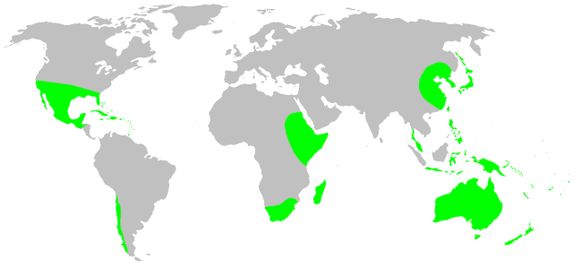 <span class="translation_missing" title="translation missing: en.medium.untitled.map_image_of, page_name: Desids">Map Image Of</span>