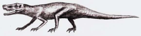 Image of Fasolasuchus