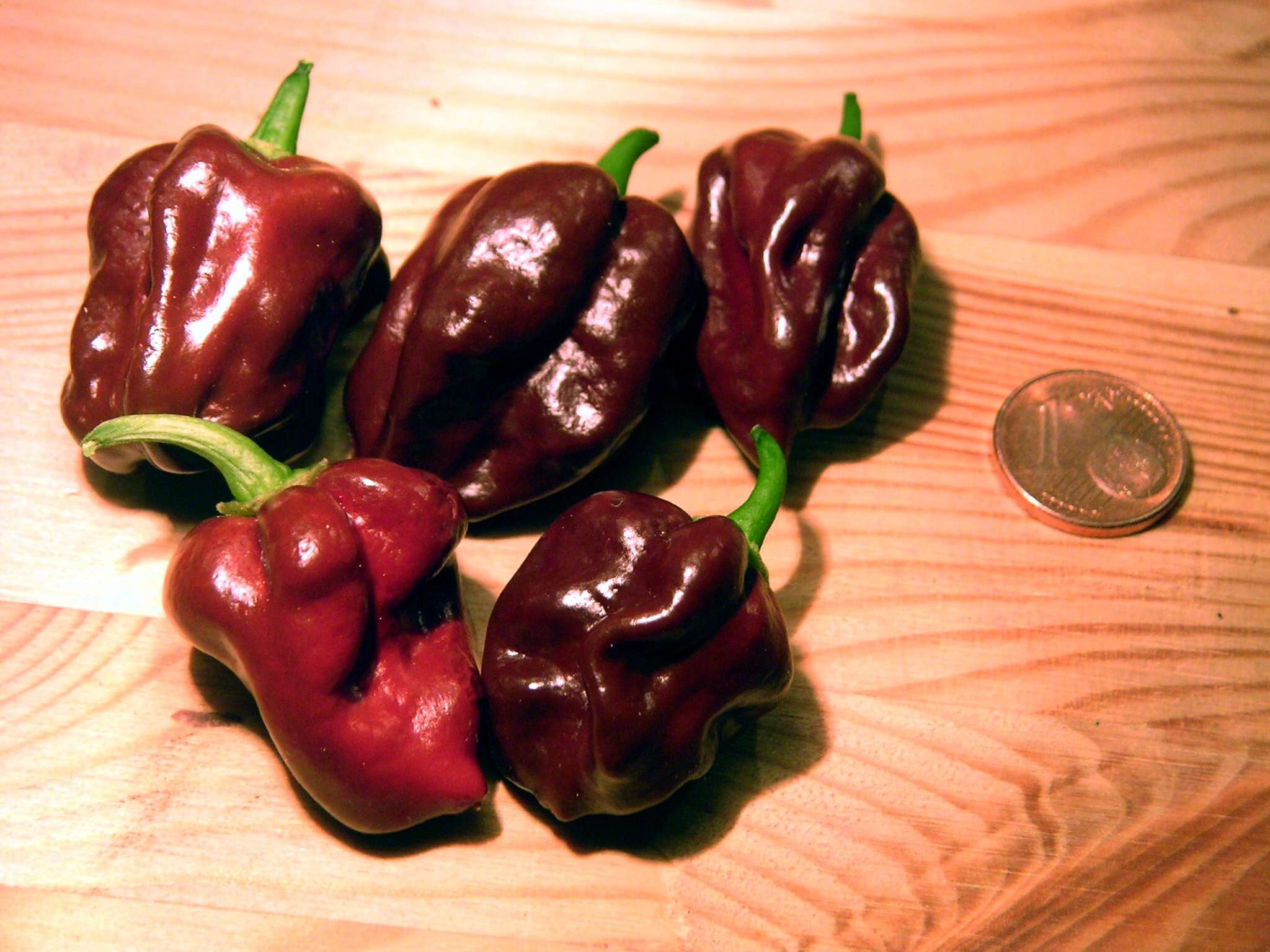 Image of Capsicum chinense