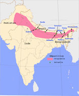 <span class="translation_missing" title="translation missing: en.medium.untitled.map_image_of, page_name: Indian Rhinoceros">Map Image Of</span>