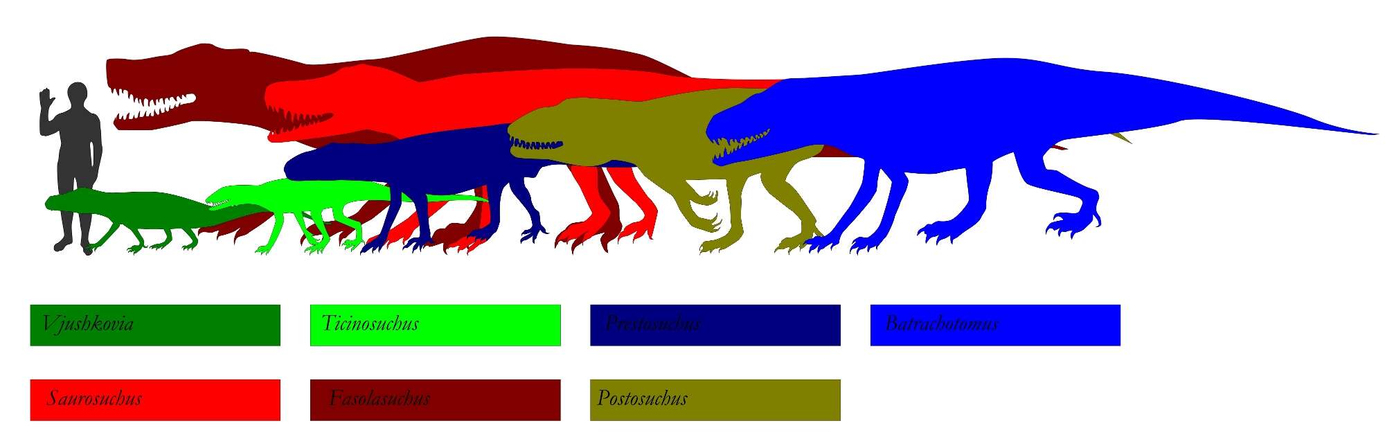 unclassified Archosauria的圖片
