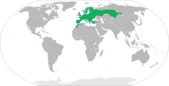 <span class="translation_missing" title="translation missing: en.medium.untitled.map_image_of, page_name: european toad">Map Image Of</span>