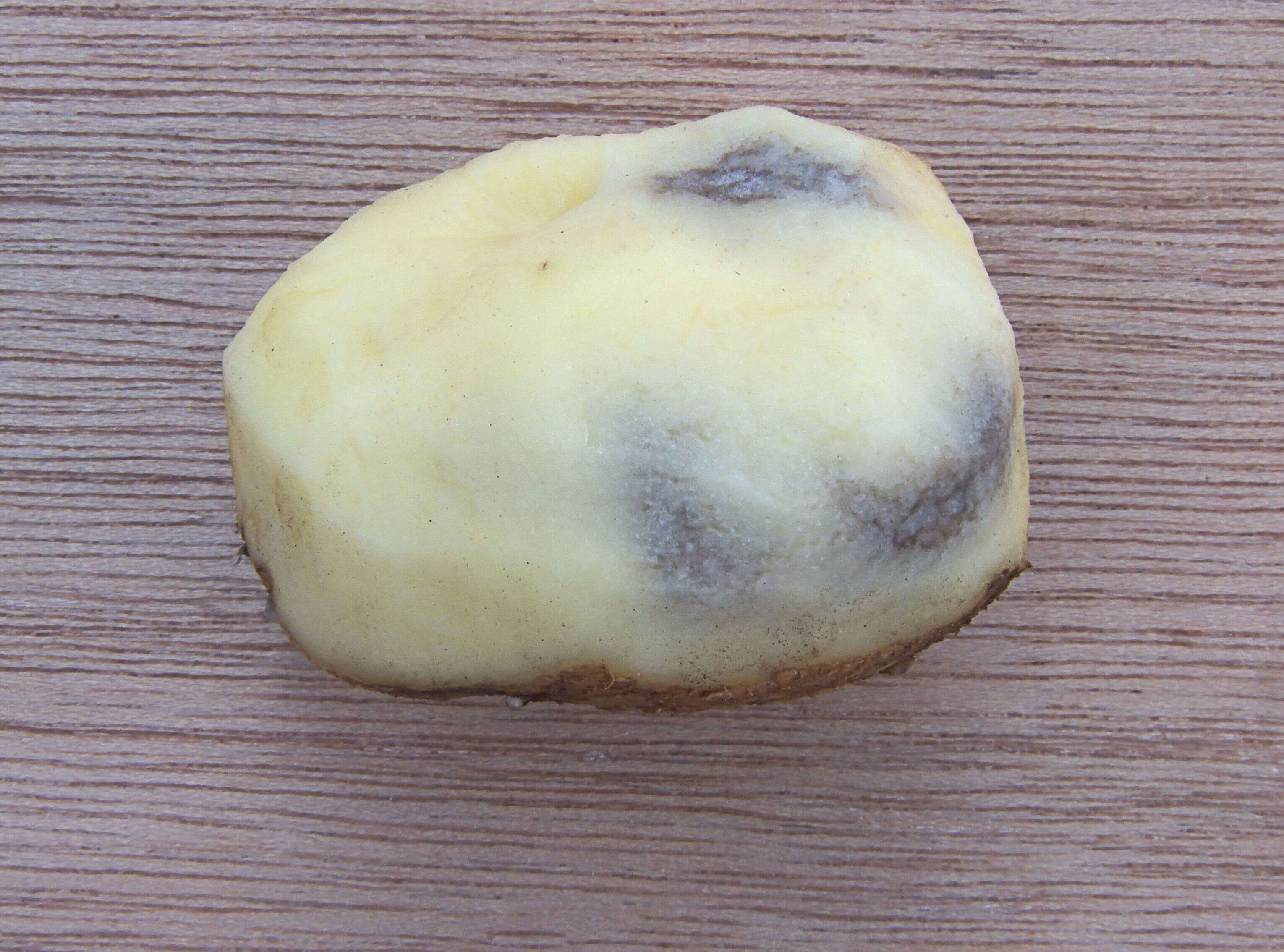 Image de patate