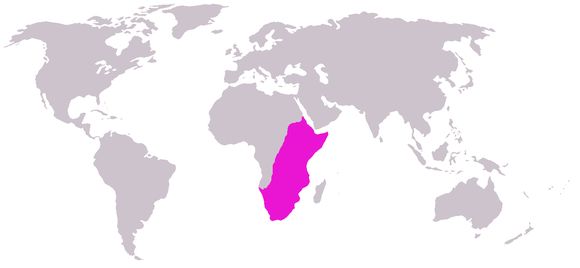 <span class="translation_missing" title="translation missing: en.medium.untitled.map_image_of, page_name: Giraffe">Map Image Of</span>