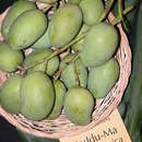 Image of Sri Lankan mango
