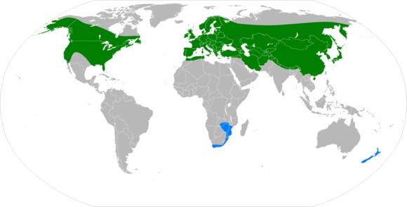 <span class="translation_missing" title="translation missing: en.medium.untitled.map_image_of, page_name: Cep">Map Image Of</span>