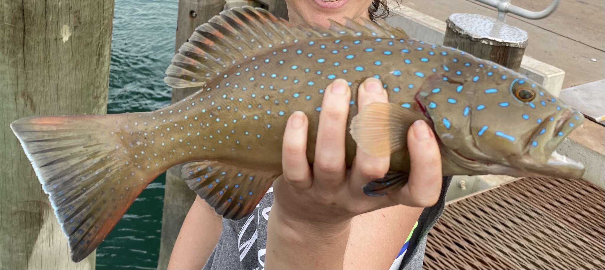 Image of Barcheek coral trout