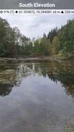 Image of Blunt-leaved Pondweed