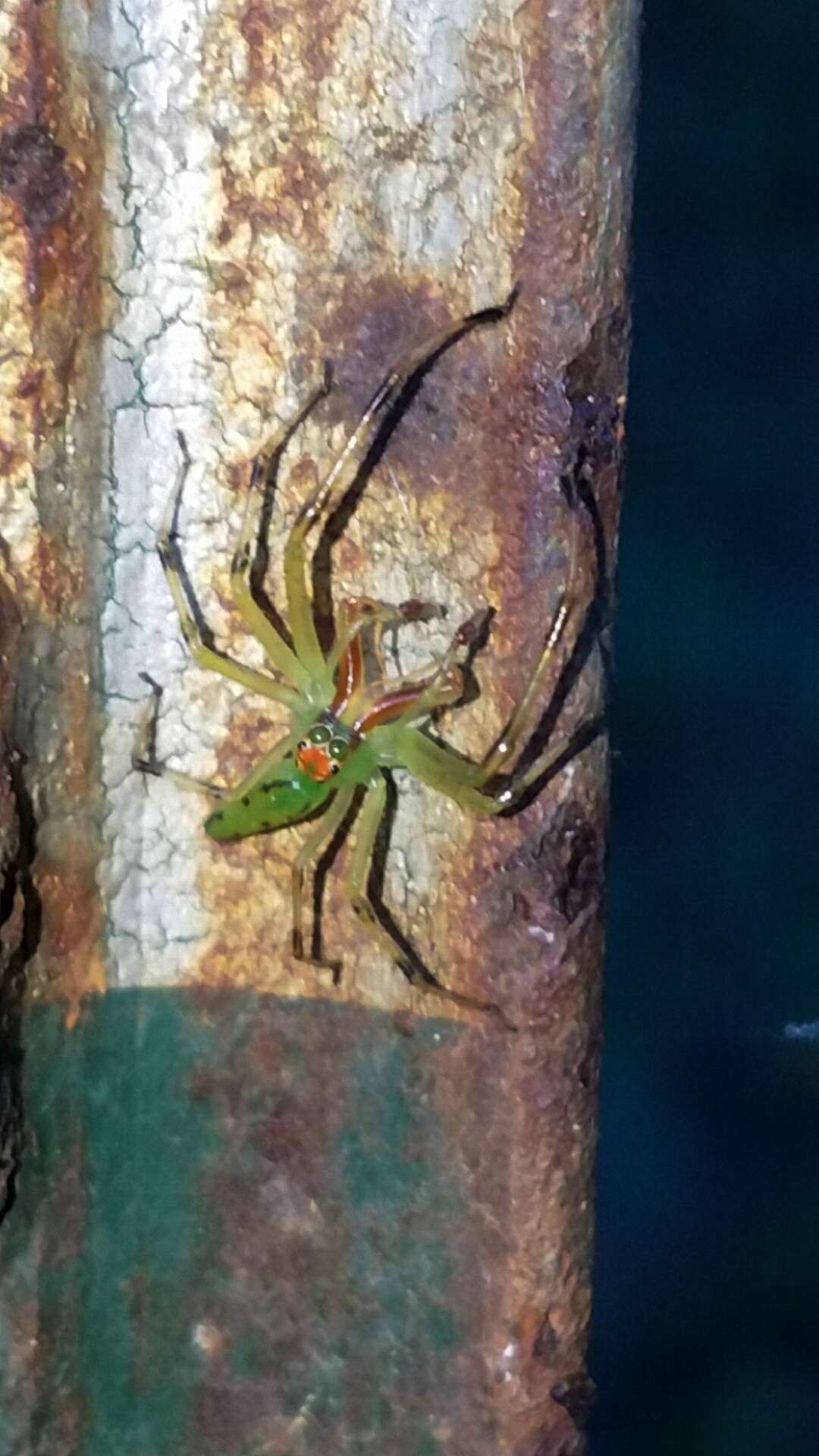 Image of Magnolia Green Jumper