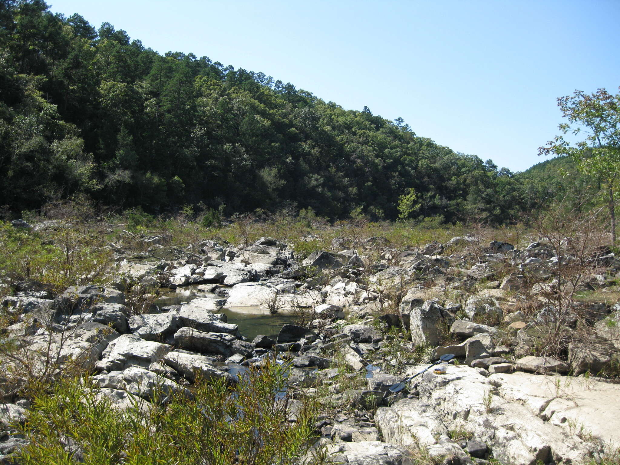 Image of Cumberland Sand-Reed