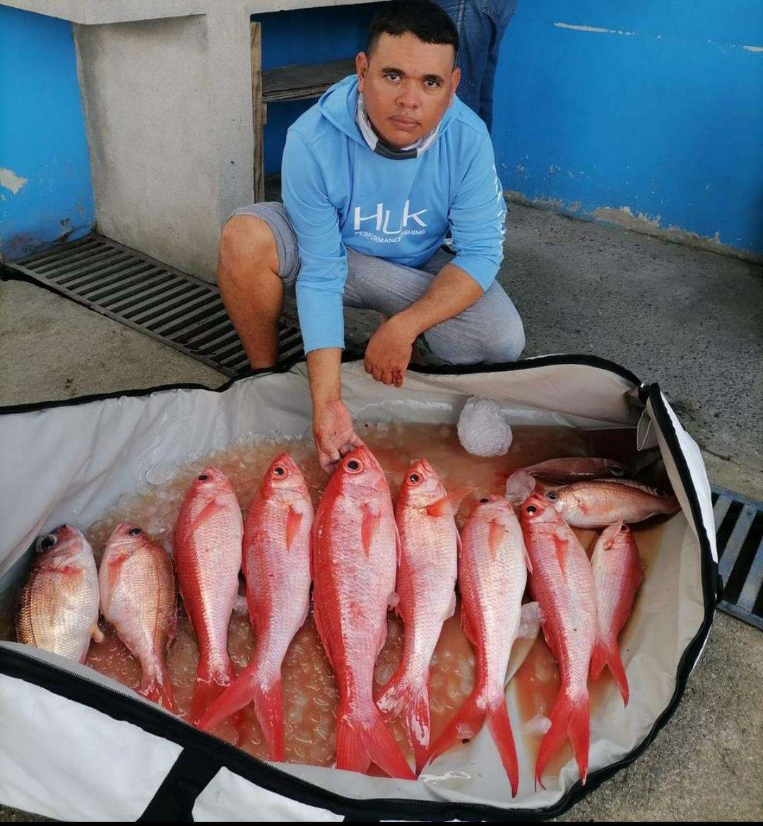 Image of Blear-eyed Snapper