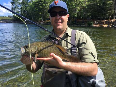 Image of Smallmouth Bass