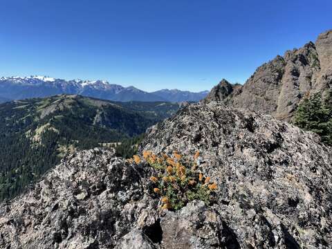 Image of Olympic Mountain rockmat