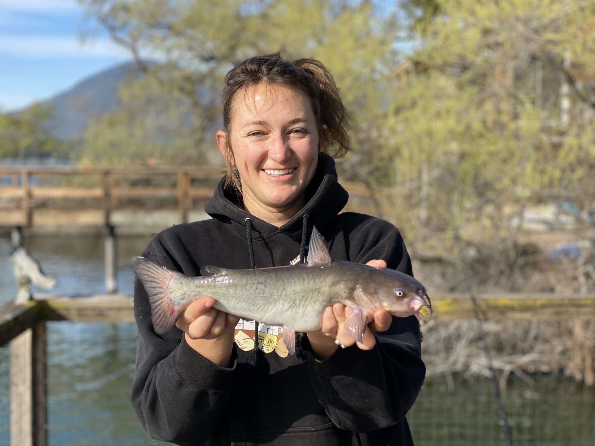 Image of White catfish