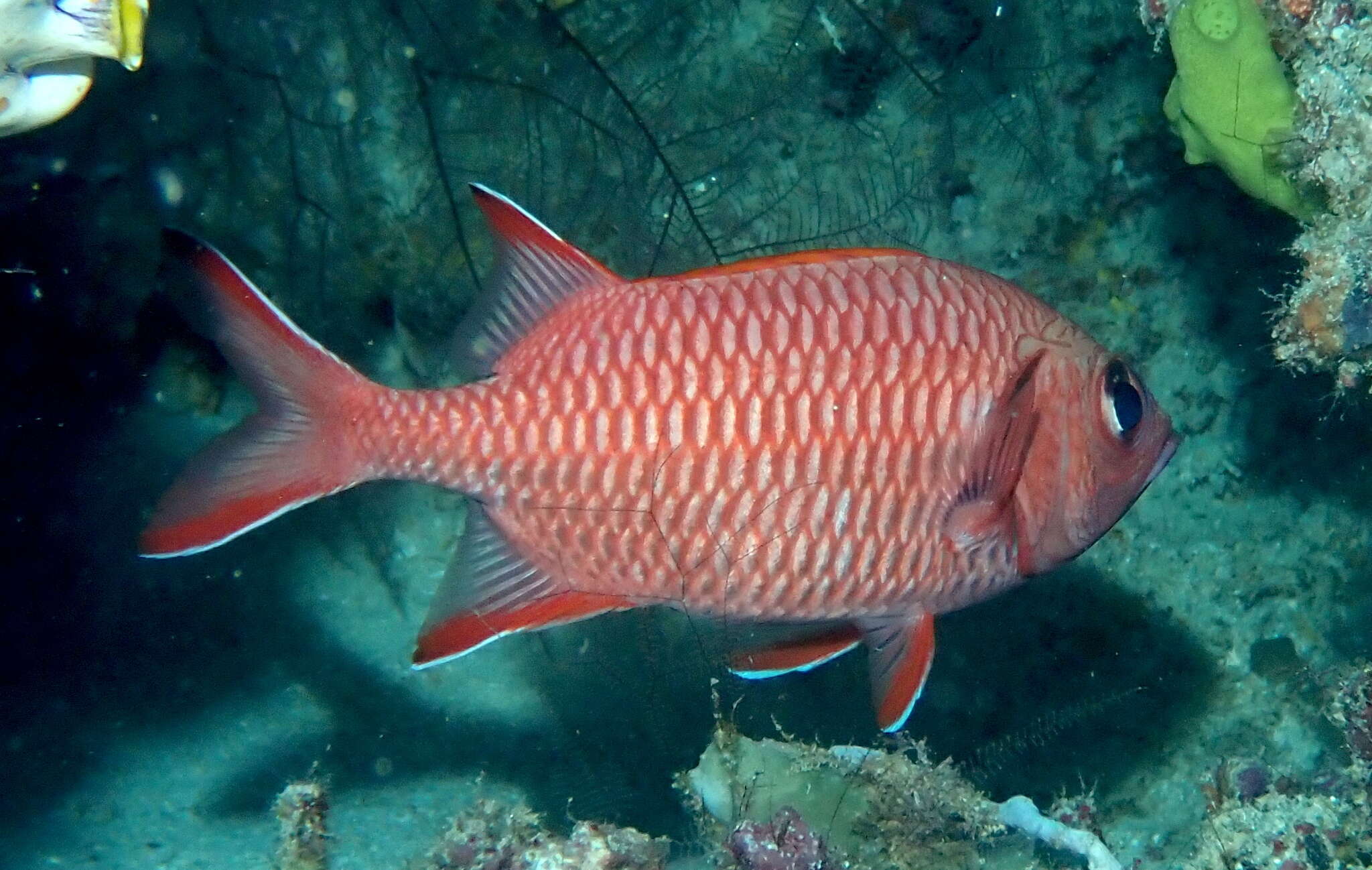 Image de Marignan à Oeillères