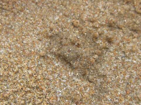 Image of Sand Bubbler