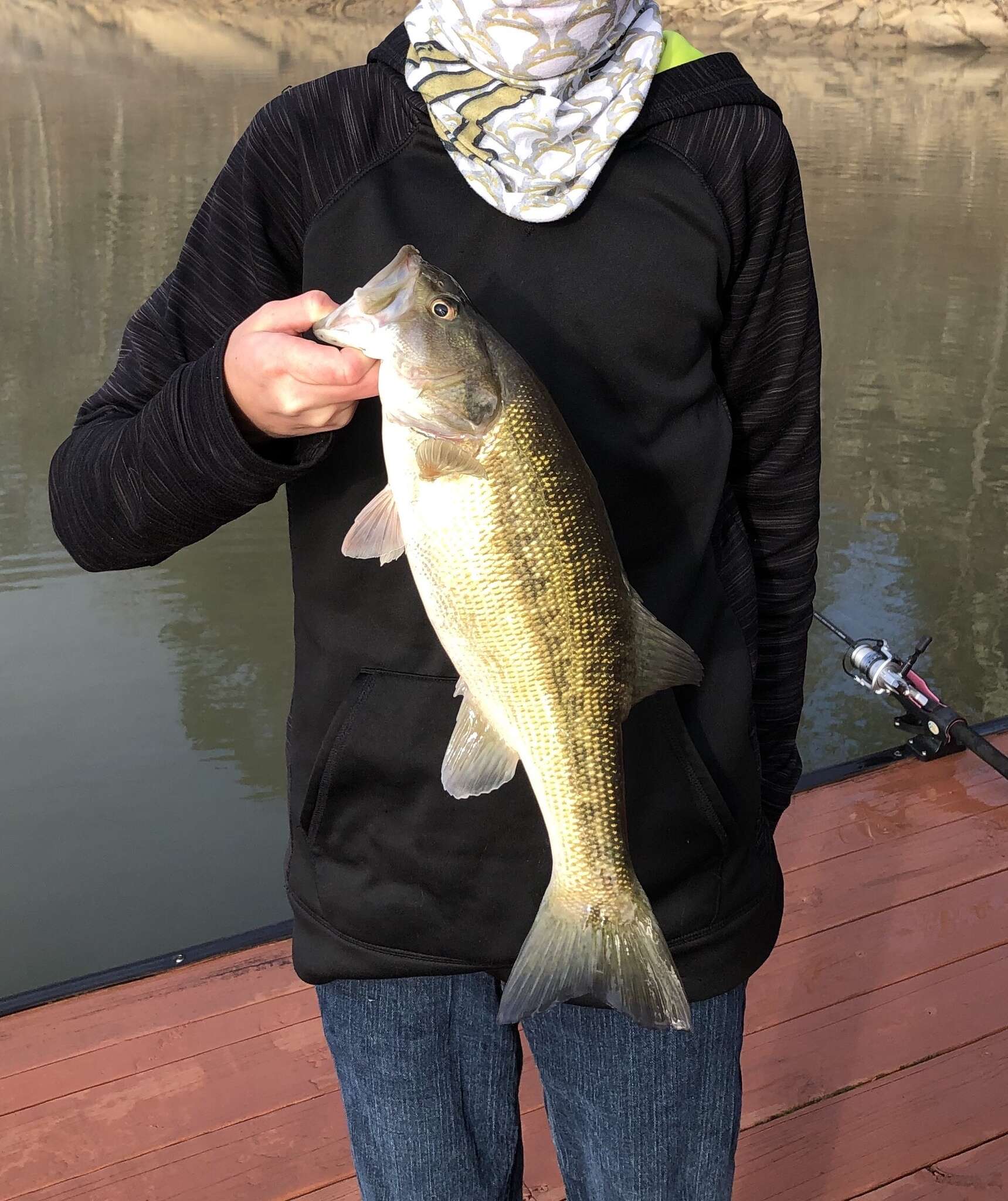 Image of Alabama bass