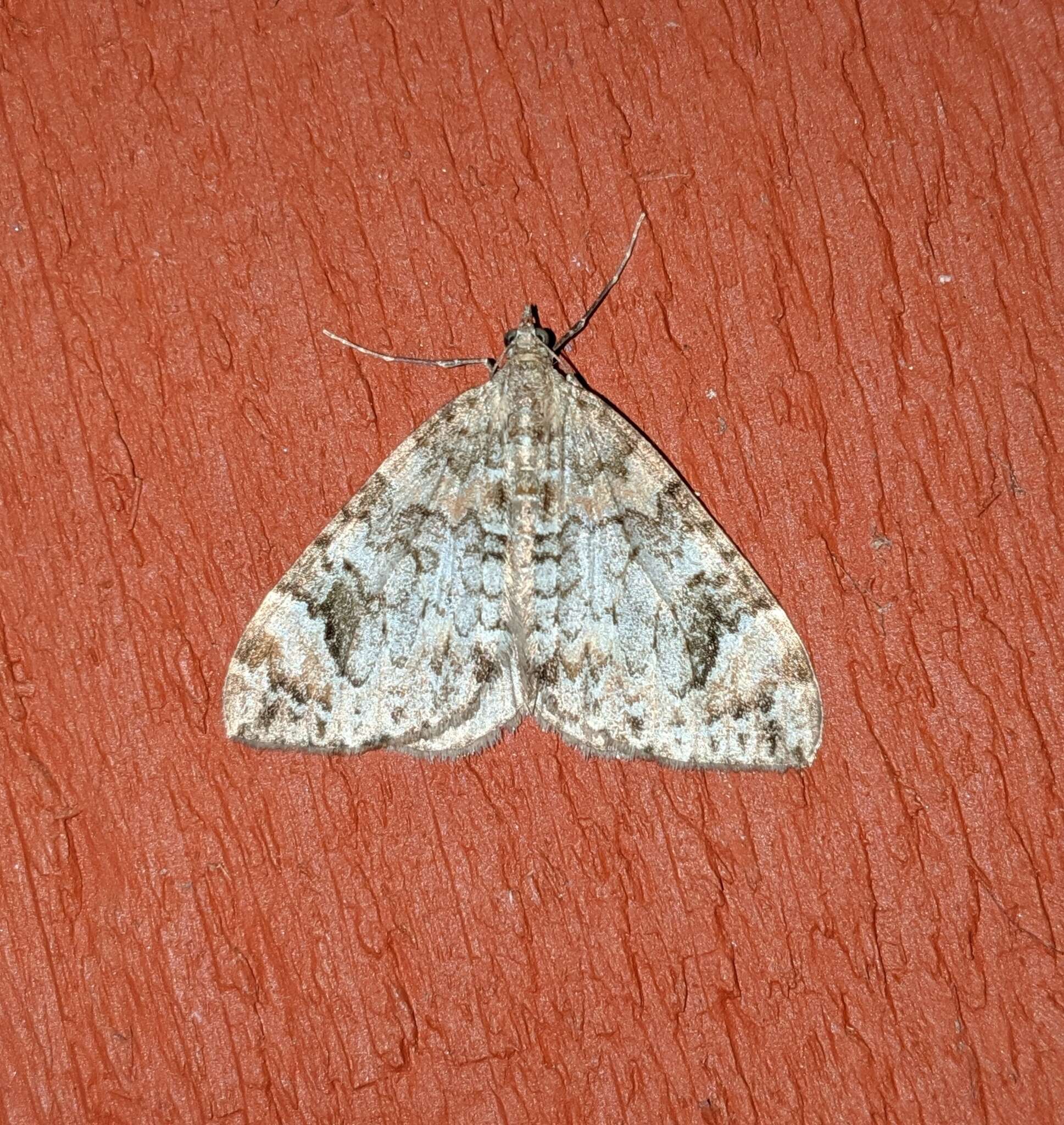 Image of Dark Marbled Carpet