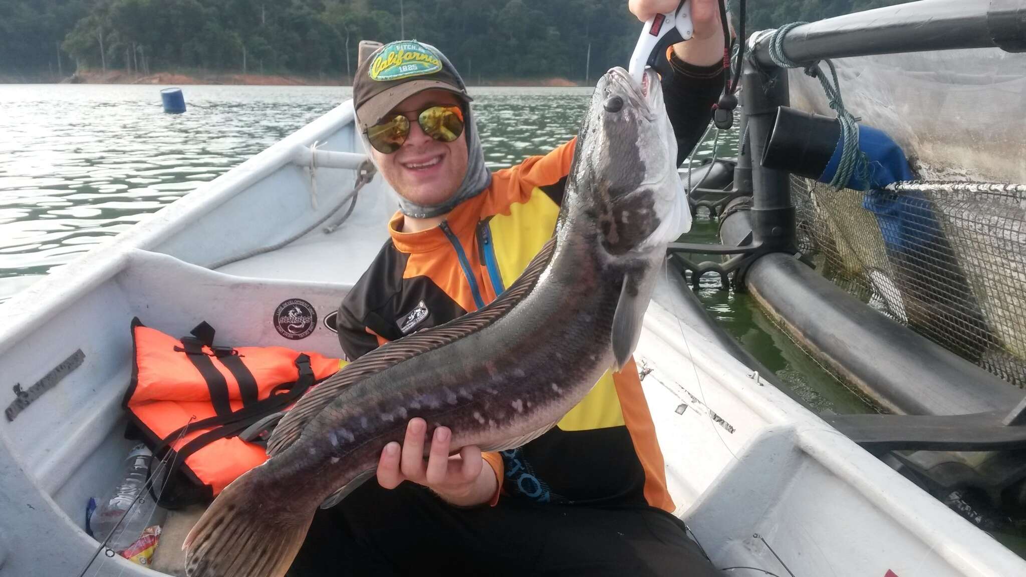 Image of Giant Snakehead