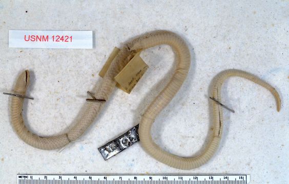 517.10156912.580x360