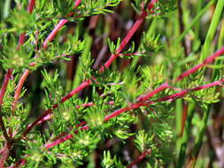 Image of Redhill Heath