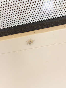 Image of Gray Wall Jumper