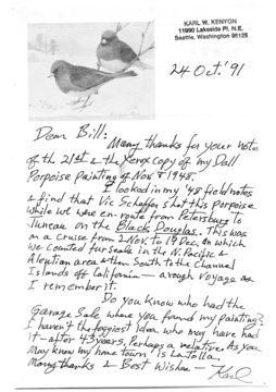 Image of Dall's Porpoise