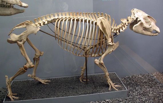 536.7004863.580x360