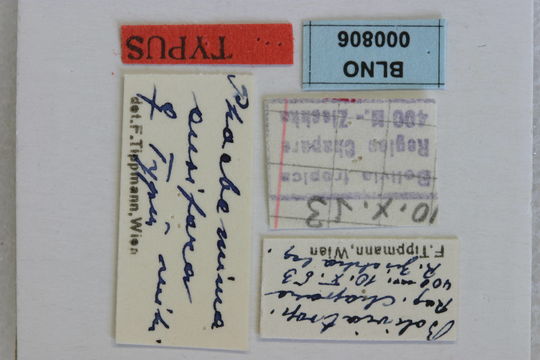 537.10511262.580x360