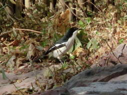 Image of Gabon Boubou