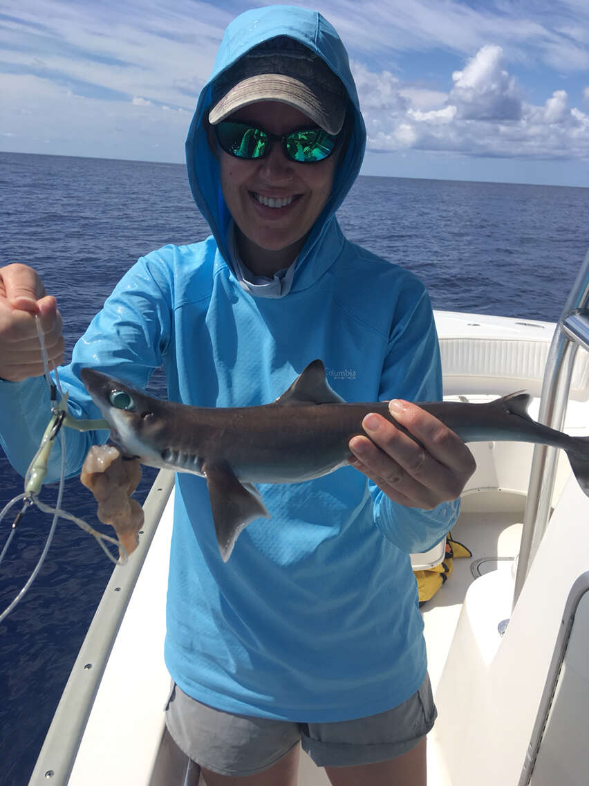 Image of Cuban Dogfish