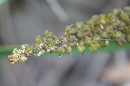 Image of water ribbon