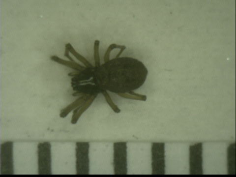 539.aedna ccdb 08104 f02 1342678748 jpg.580x360