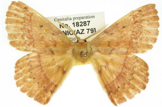 539.anicg 10anic 03336 1287140342 jpg.580x360