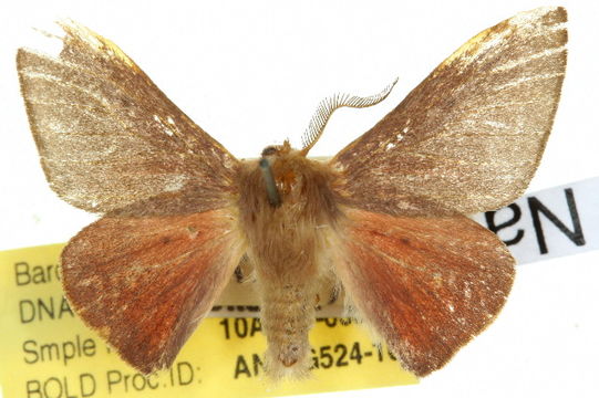 539.anicg 10anic 03521 1287187934 jpg.580x360