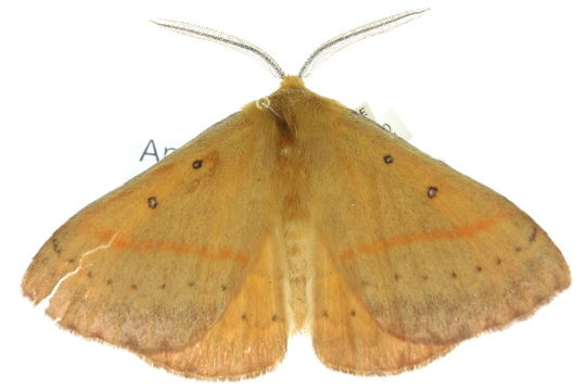 539.anicg 10anic 03523 1287188010 jpg.580x360