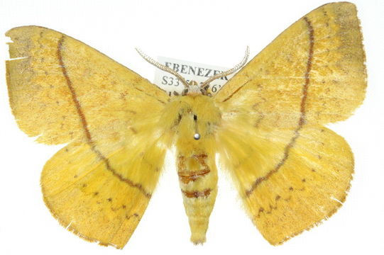 539.anicg 10anic 03537 1287188220 jpg.580x360