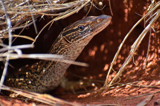 Image of Sand Monitor